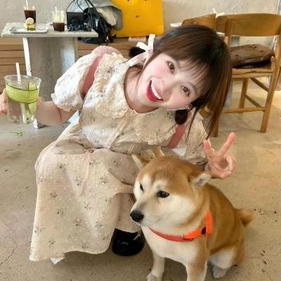 菊花香